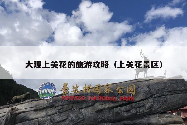 大理上关花的旅游攻略（上关花景区）
