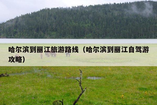 哈尔滨到丽江旅游路线（哈尔滨到丽江自驾游攻略）