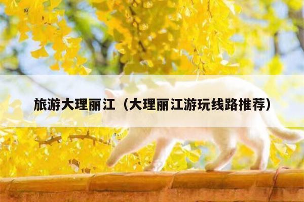 旅游大理丽江（大理丽江游玩线路推荐）