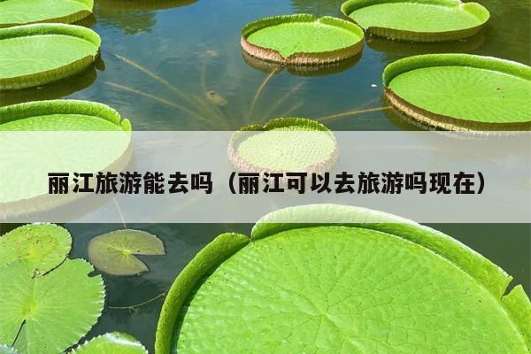 丽江旅游能去吗（丽江可以去旅游吗现在）