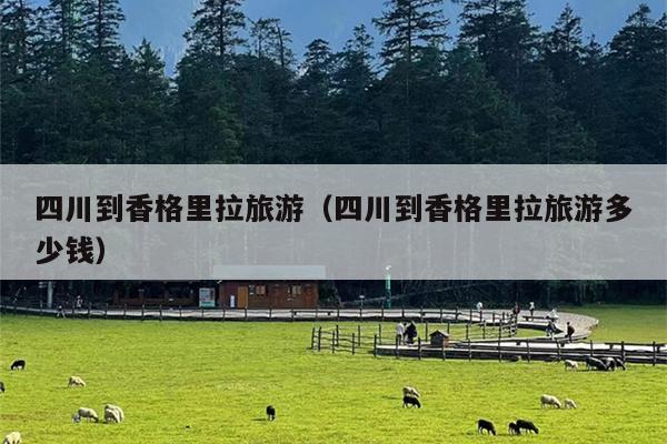 四川到香格里拉旅游（四川到香格里拉旅游多少钱）