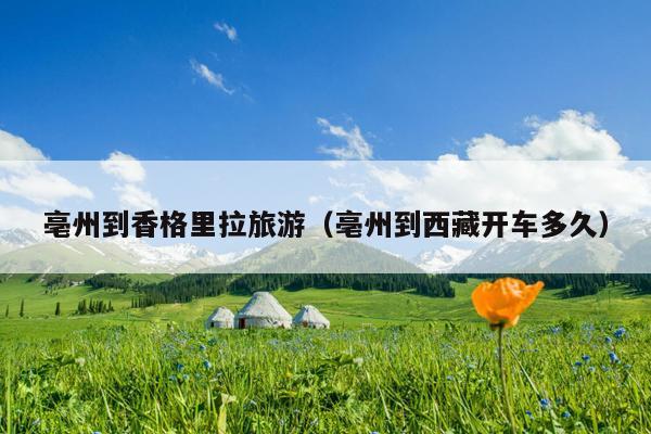 亳州到香格里拉旅游（亳州到西藏开车多久）
