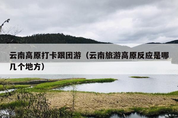 云南高原打卡跟团游（云南旅游高原反应是哪几个地方）