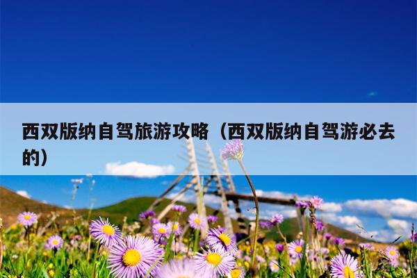 西双版纳自驾旅游攻略（西双版纳自驾游必去的）