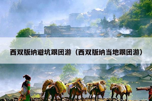 西双版纳避坑跟团游（西双版纳当地跟团游）