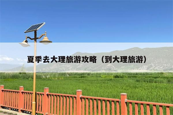 夏季去大理旅游攻略（到大理旅游）
