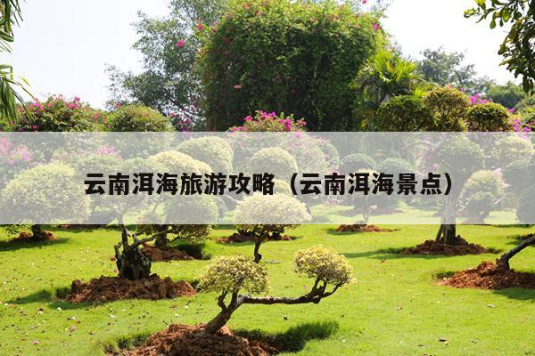 云南洱海旅游攻略（云南洱海景点）