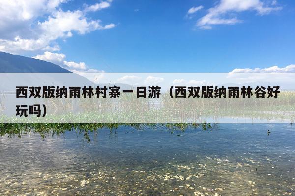 西双版纳雨林村寨一日游（西双版纳雨林谷好玩吗）