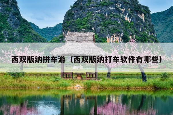 西双版纳拼车游（西双版纳打车软件有哪些）