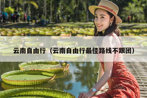 云南自由行（云南自由行最佳路线不跟团）