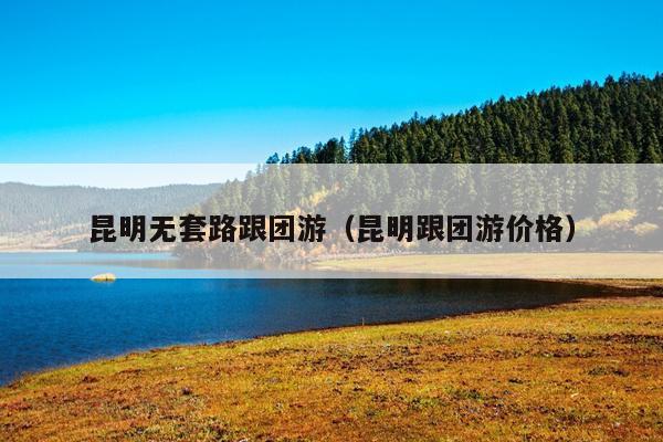 昆明无套路跟团游（昆明跟团游价格）