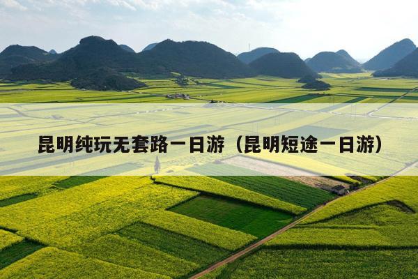 昆明纯玩无套路一日游（昆明短途一日游）