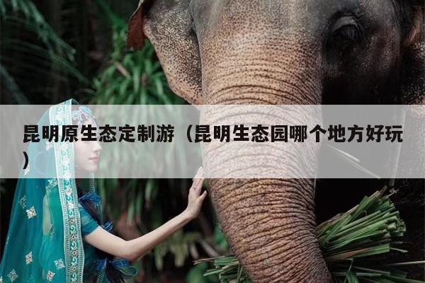 昆明原生态定制游（昆明生态园哪个地方好玩）