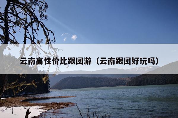 云南高性价比跟团游（云南跟团好玩吗）