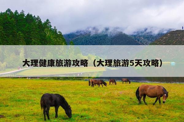 大理健康旅游攻略（大理旅游5天攻略）