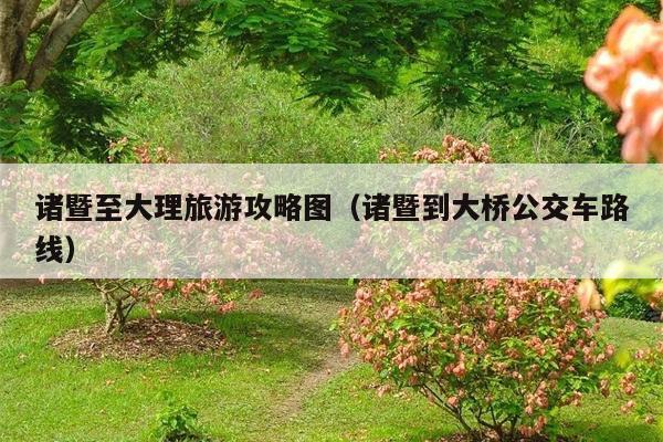 诸暨至大理旅游攻略图（诸暨到大桥公交车路线）
