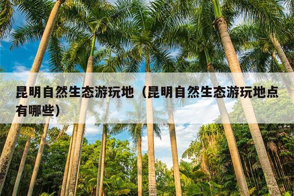 昆明自然生态游玩地（昆明自然生态游玩地点有哪些）