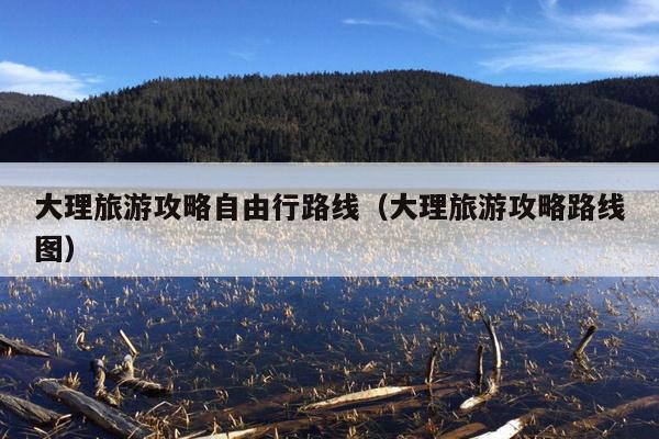大理旅游攻略自由行路线（大理旅游攻略路线图）