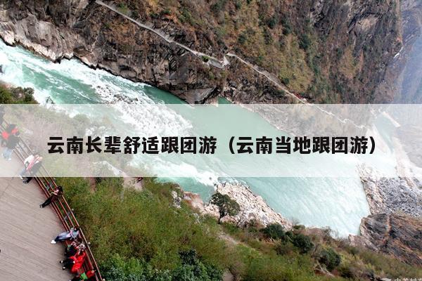 云南长辈舒适跟团游（云南当地跟团游）