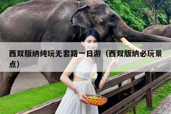 西双版纳纯玩无套路一日游（西双版纳必玩景点）