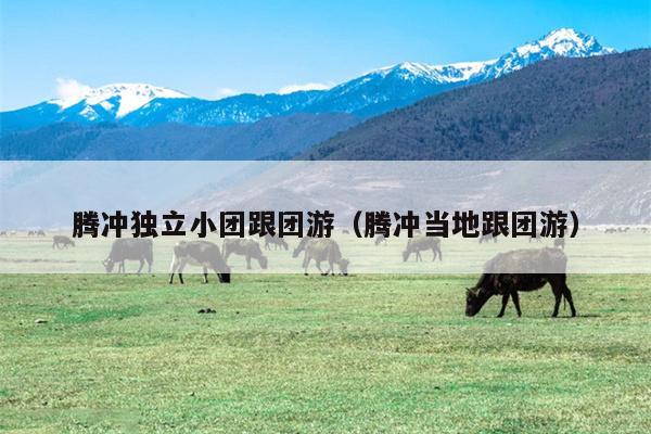 腾冲独立小团跟团游（腾冲当地跟团游）